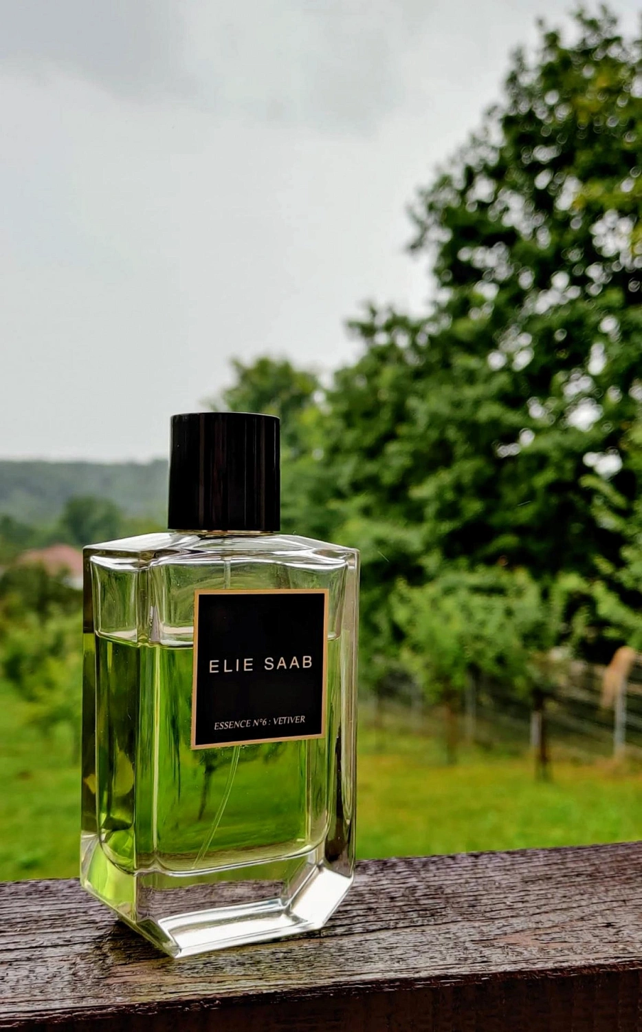 Elie Saab Essence No. 6 Vetiver Elie Saab Essence No. 6 Vetiver