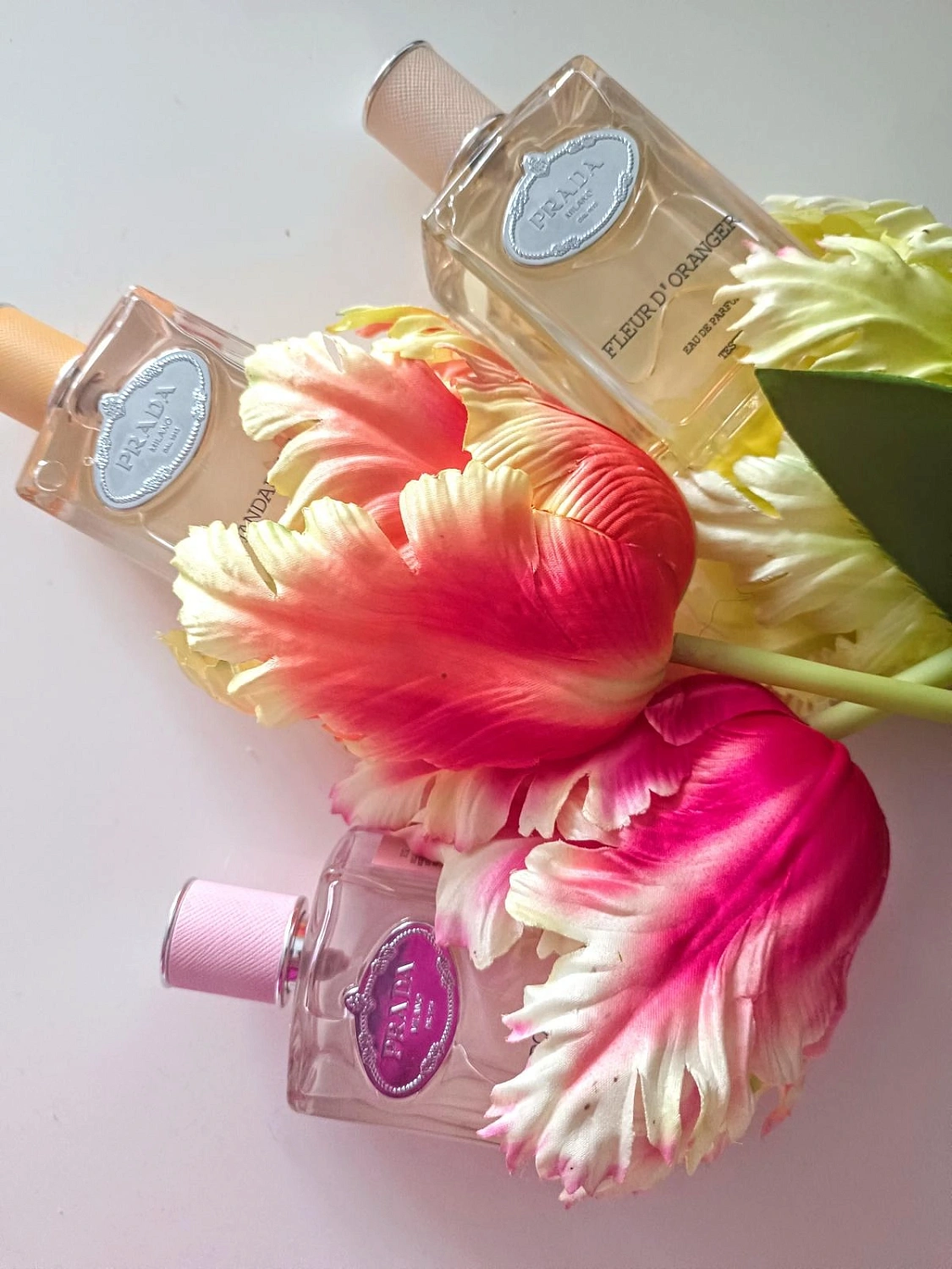 Prada Infusion Mandarine