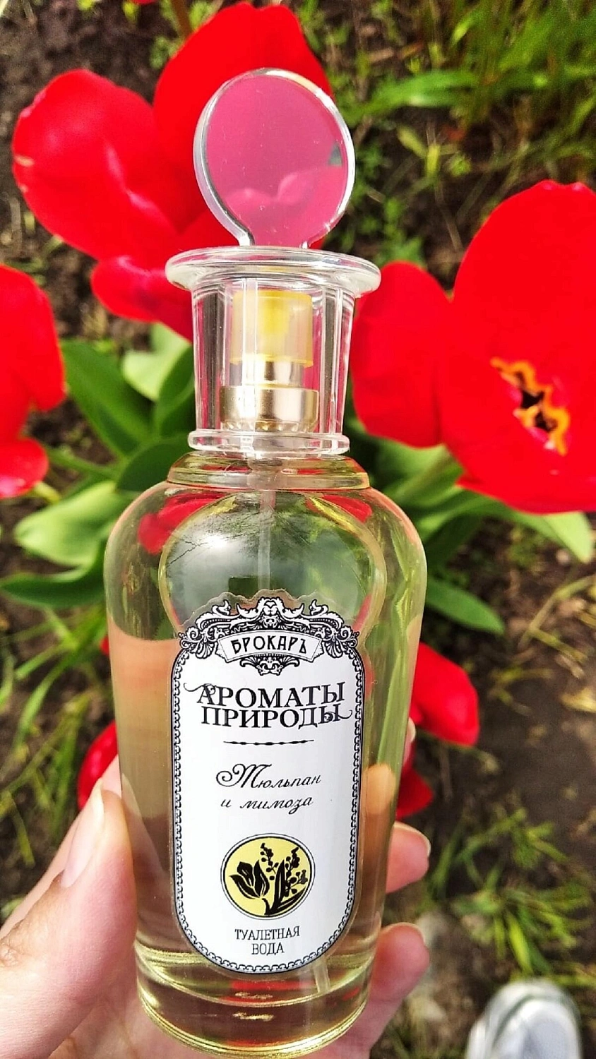 Brocard Тюльпан и Мимоза