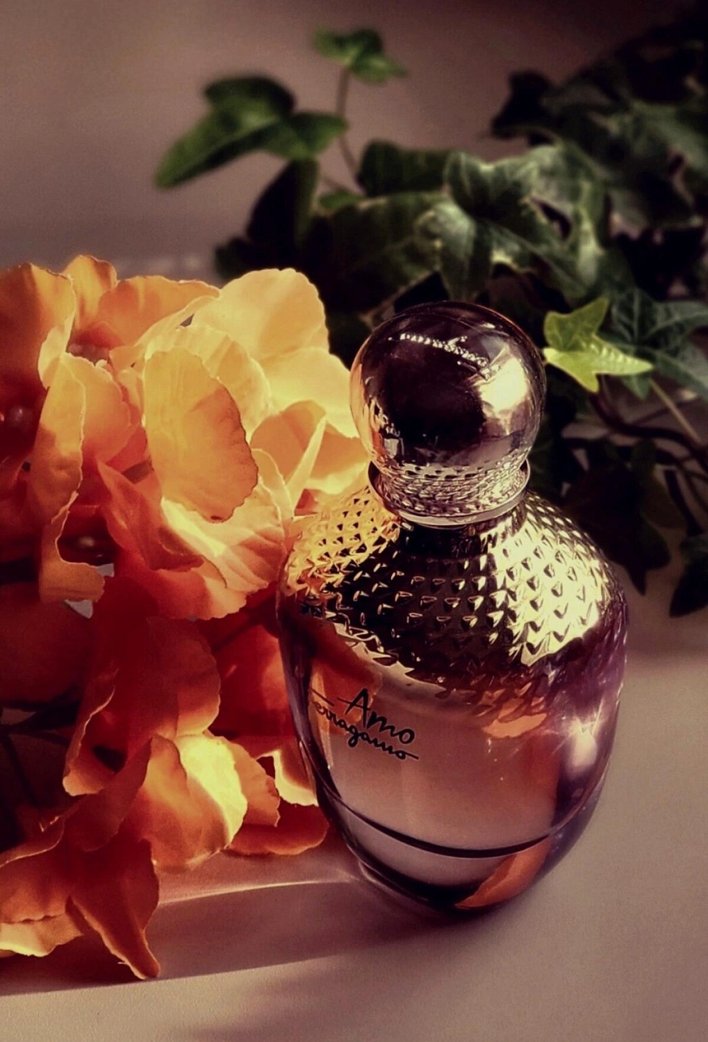 Salvatore Ferragamo Amo Ferragamo