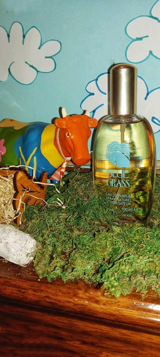 Elizabeth Arden Blue Grass