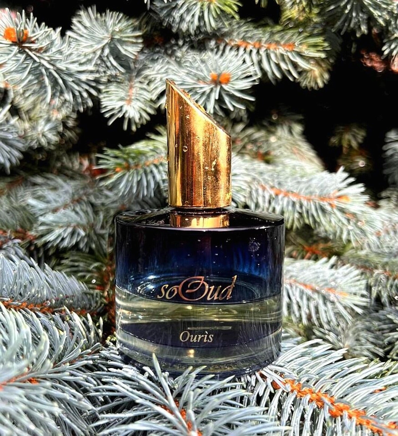 Sooud Ouris Parfum Eau Fine