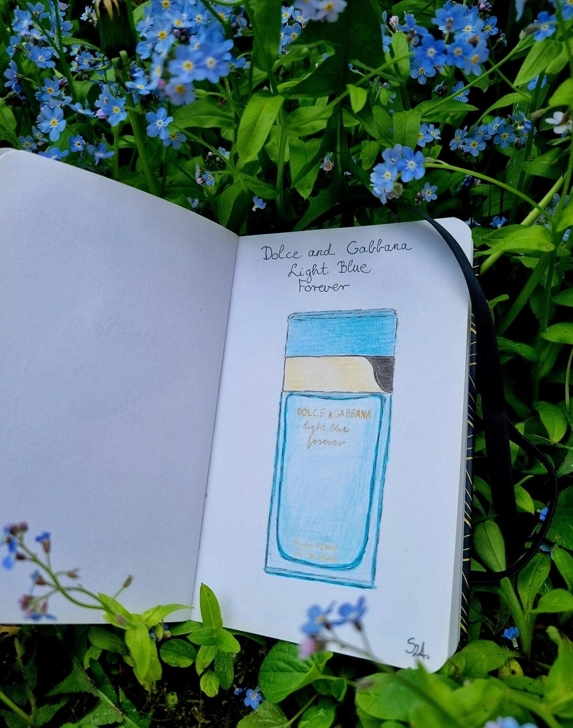 DOLCE & GABBANA Light Blue Forever DOLCE & GABBANA Light Blue Forever