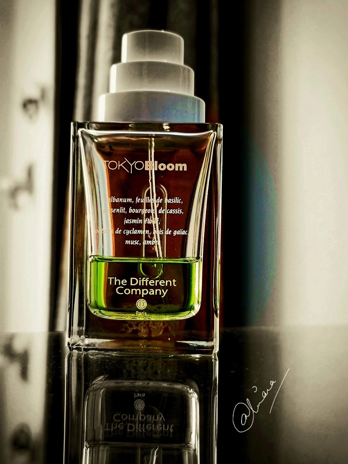 The Different Company Tokyo Bloom The Different Company Tokyo Bloom