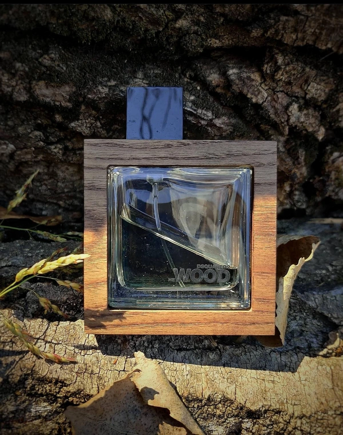 DSQUARED2 He Wood Rocky Mountain