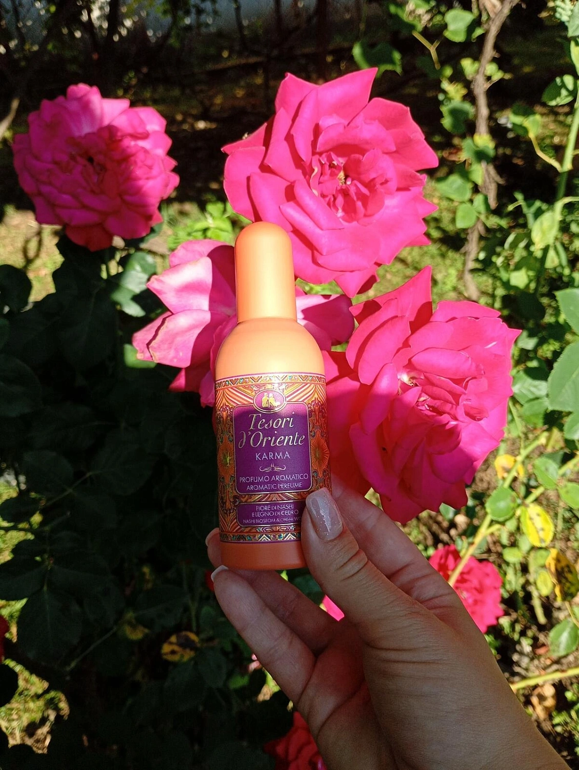 Tesori d'Oriente Karma