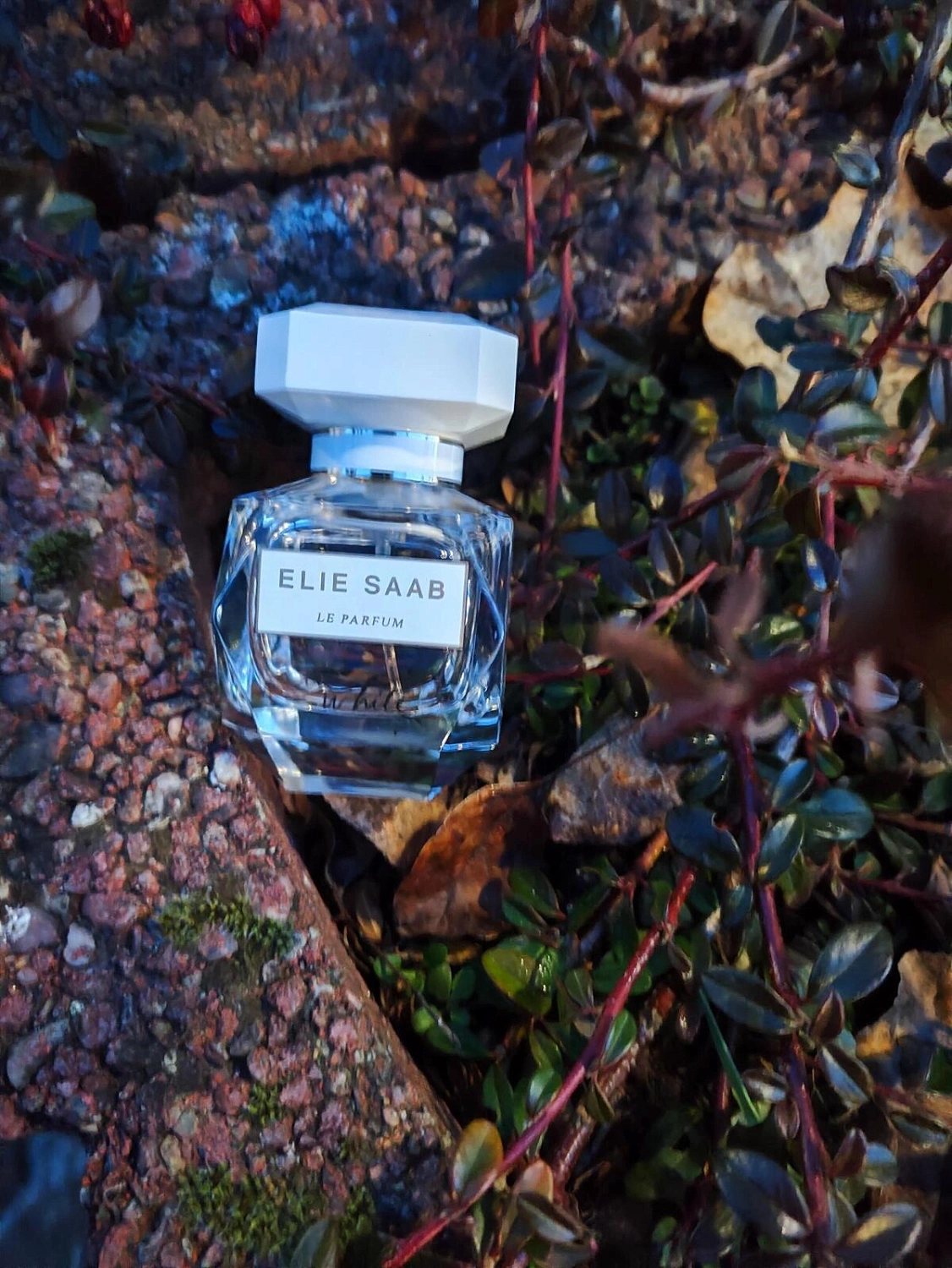 Elie Saab Le Parfum in White