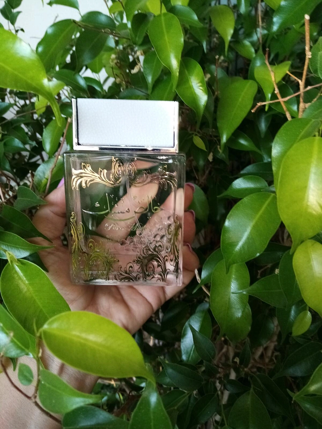 Lattafa Khalis Musk (Pure Musk)