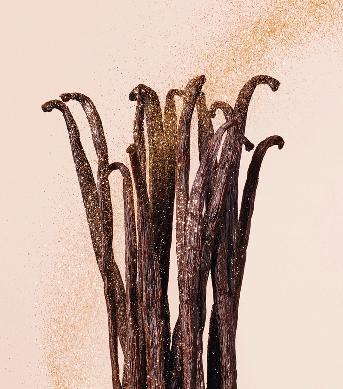 Jimmy Choo Vanilla Love