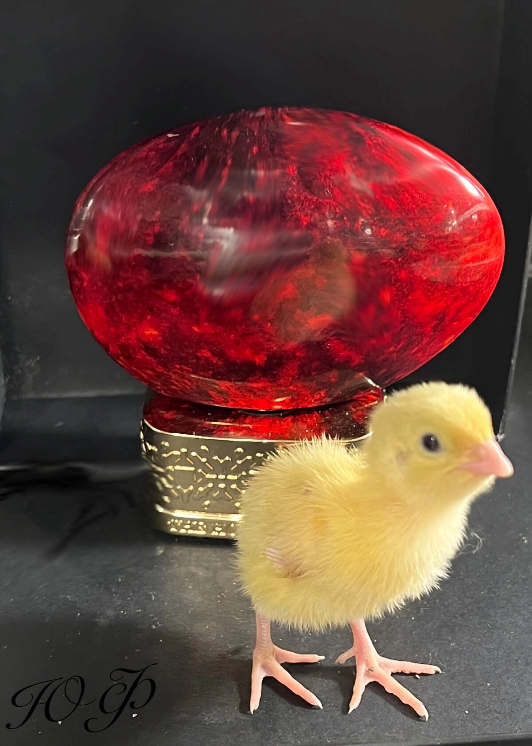 The House of Oud Ruby Red