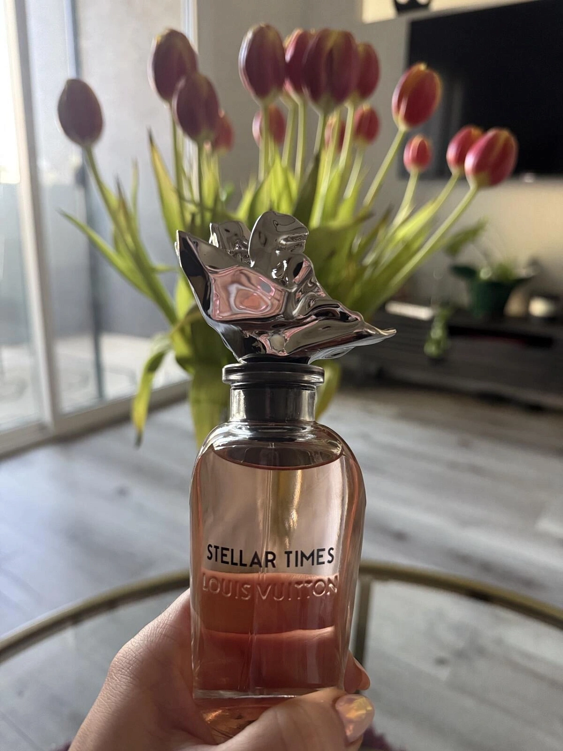 Louis Vuitton Stellar Times Louis Vuitton Stellar Times