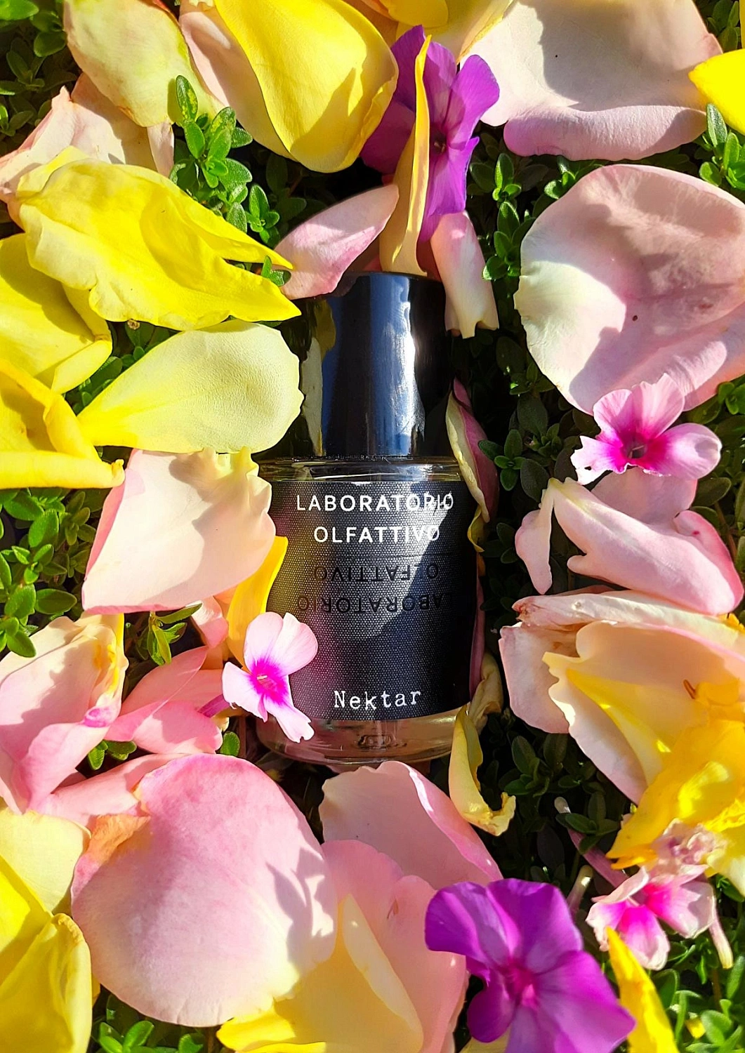 Laboratorio Olfattivo Nektar