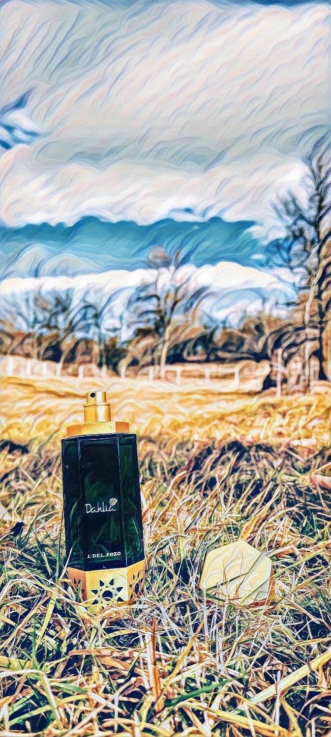 Jesus Del Pozo Desert Flowers Dahlia