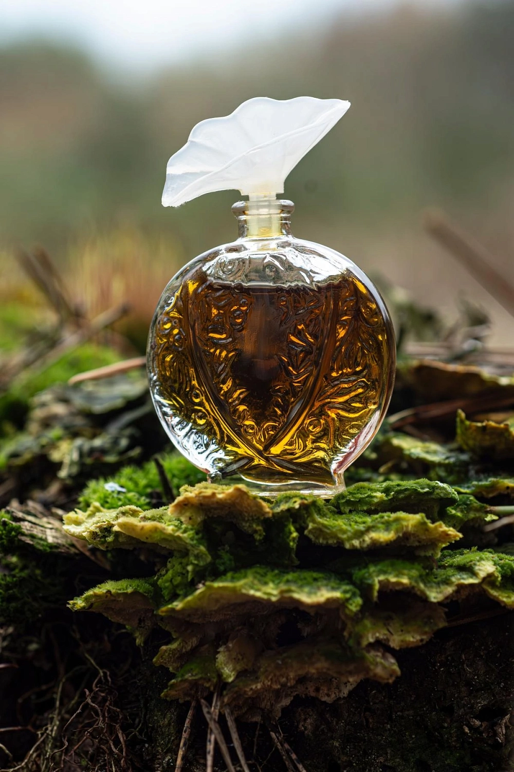 Aubusson Histoire D'Amour