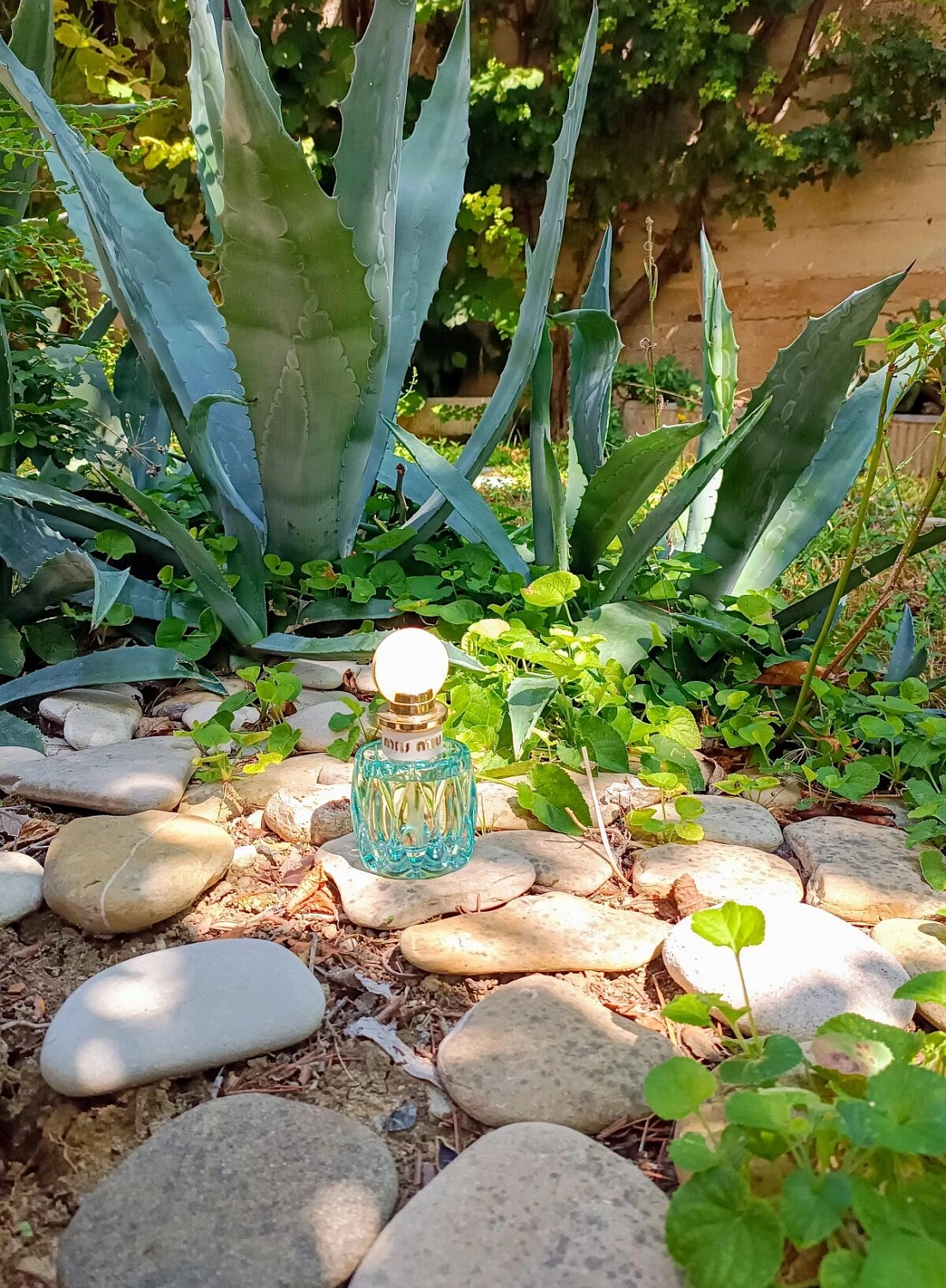 Miu Miu L’Eau Bleue