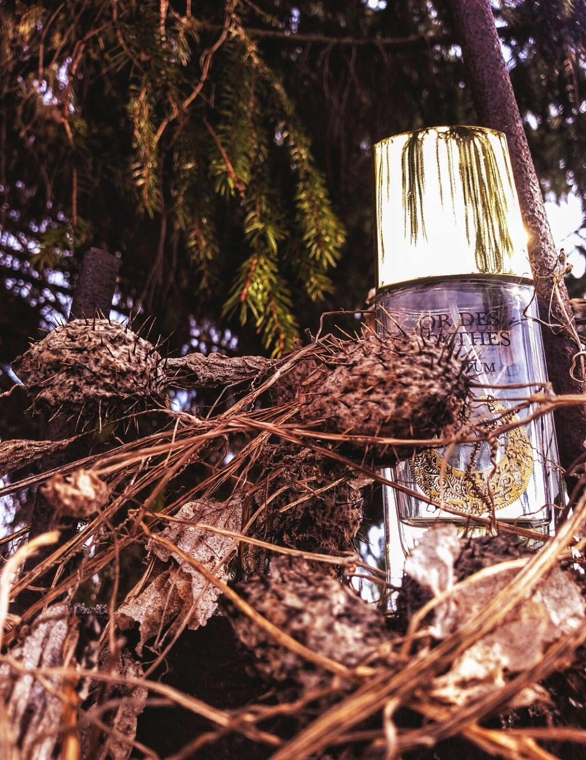 Novaya Zarya (Новая Заря) Злато Скифов (Or Des Scythes)