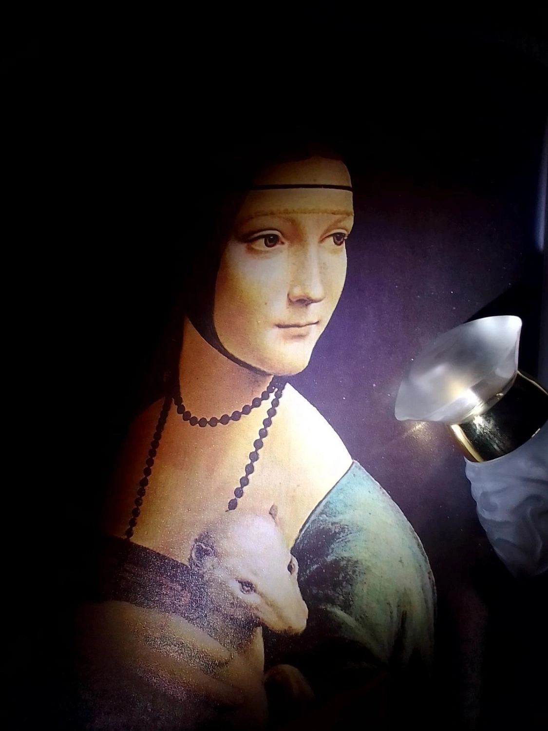 E. Coudray Iris Rose