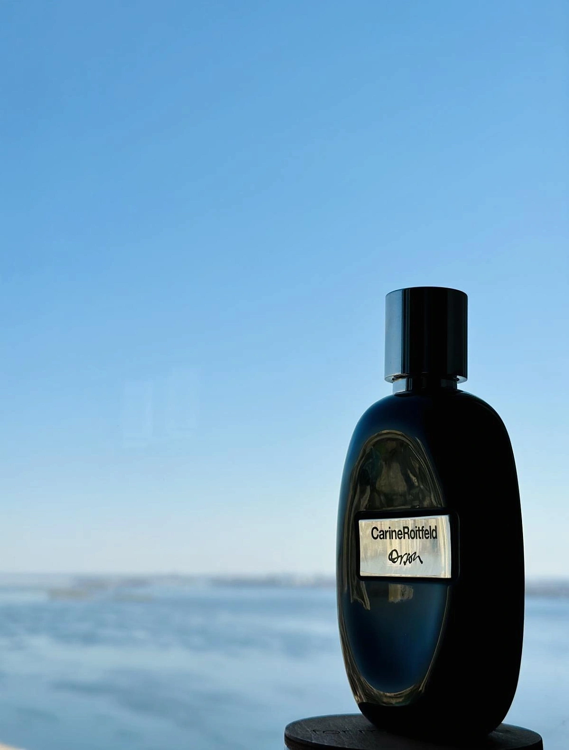 Carine Roitfeld Orson