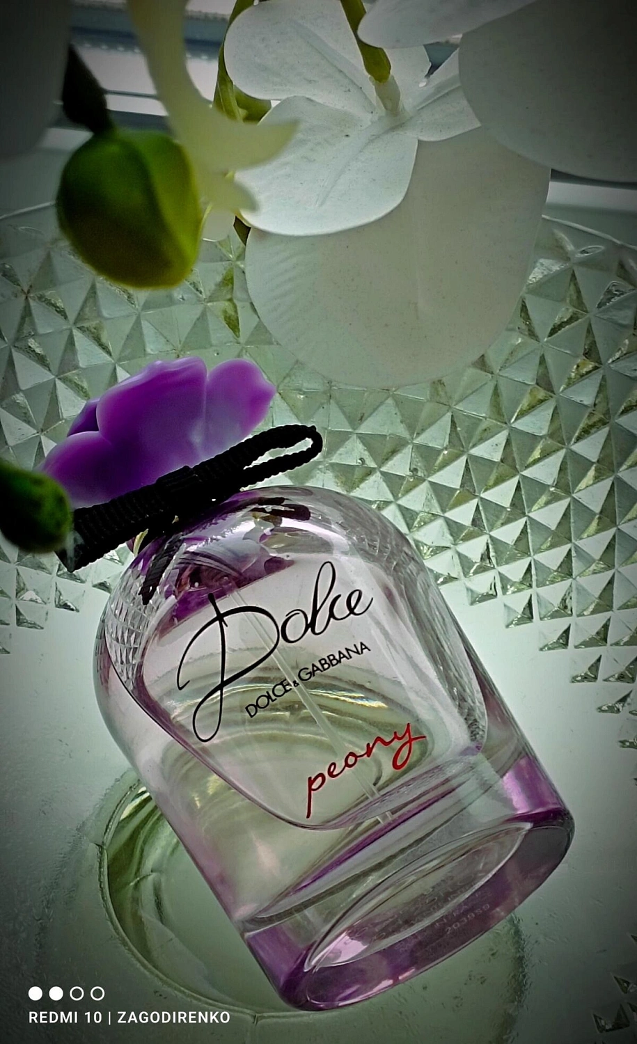 DOLCE & GABBANA Dolce Peony