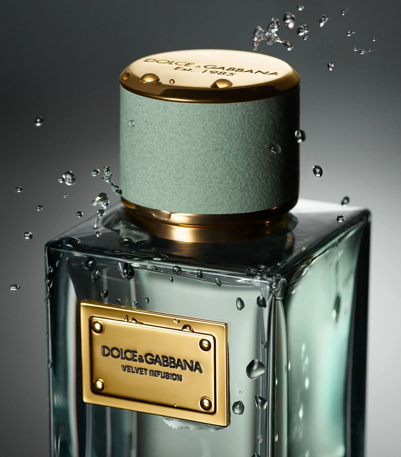 DOLCE & GABBANA Velvet Infusion