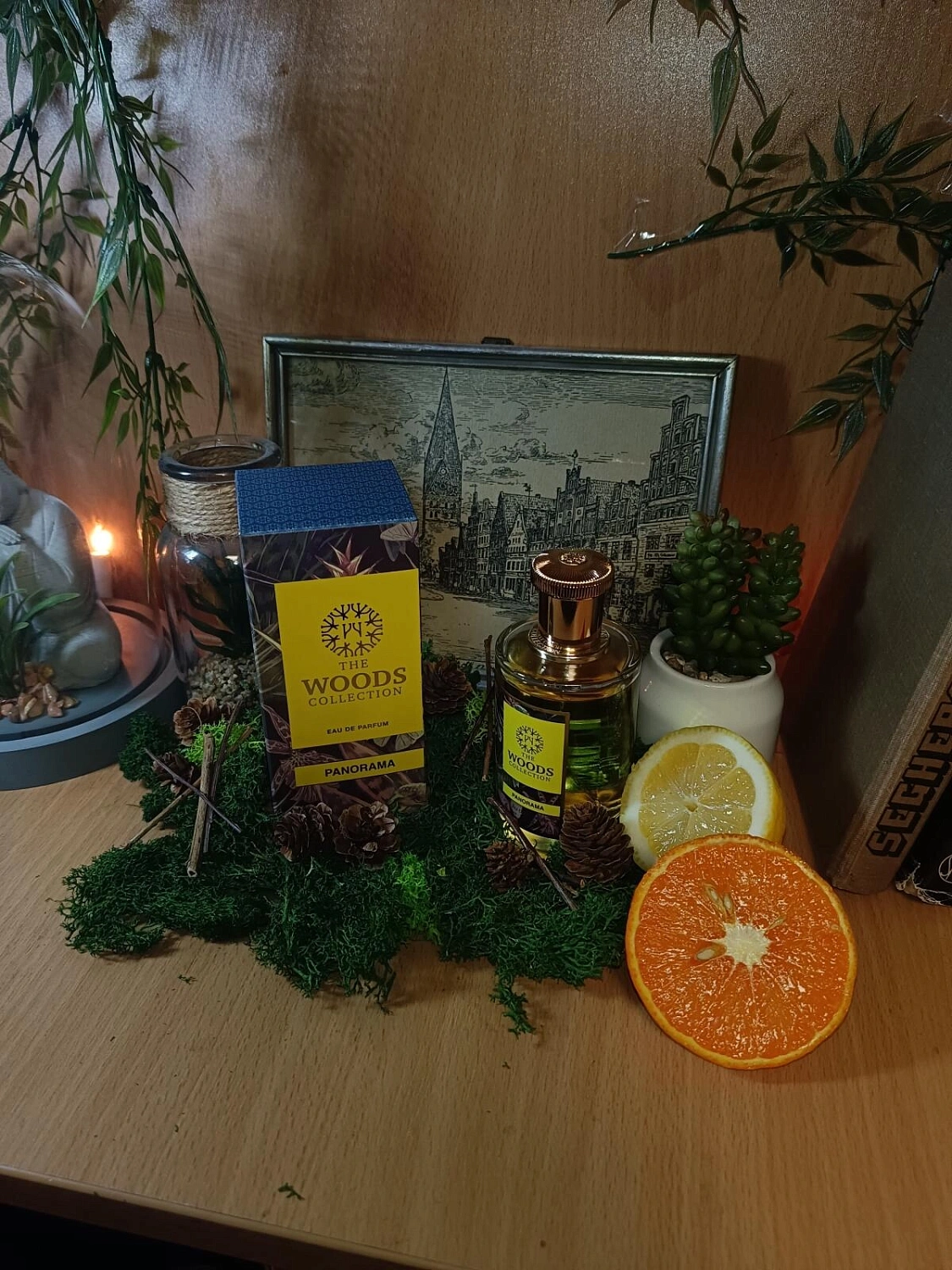 The Woods Collection Panorama