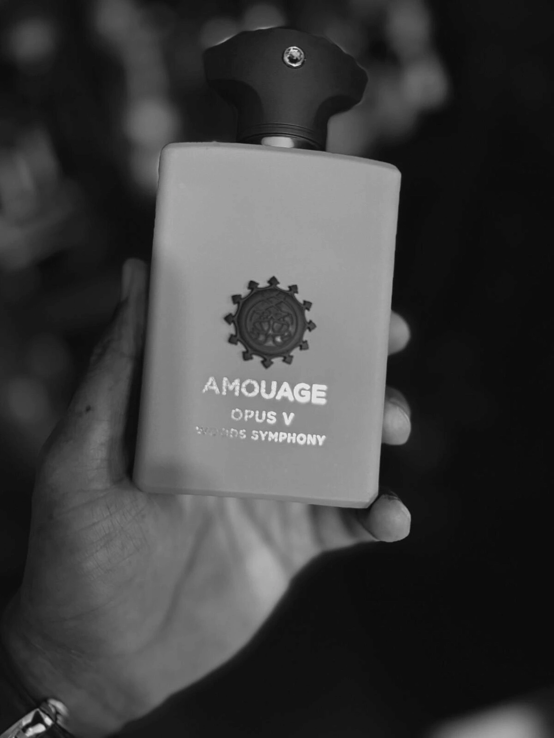 Amouage Opus V – Woods Symphony Amouage Opus V – Woods Symphony