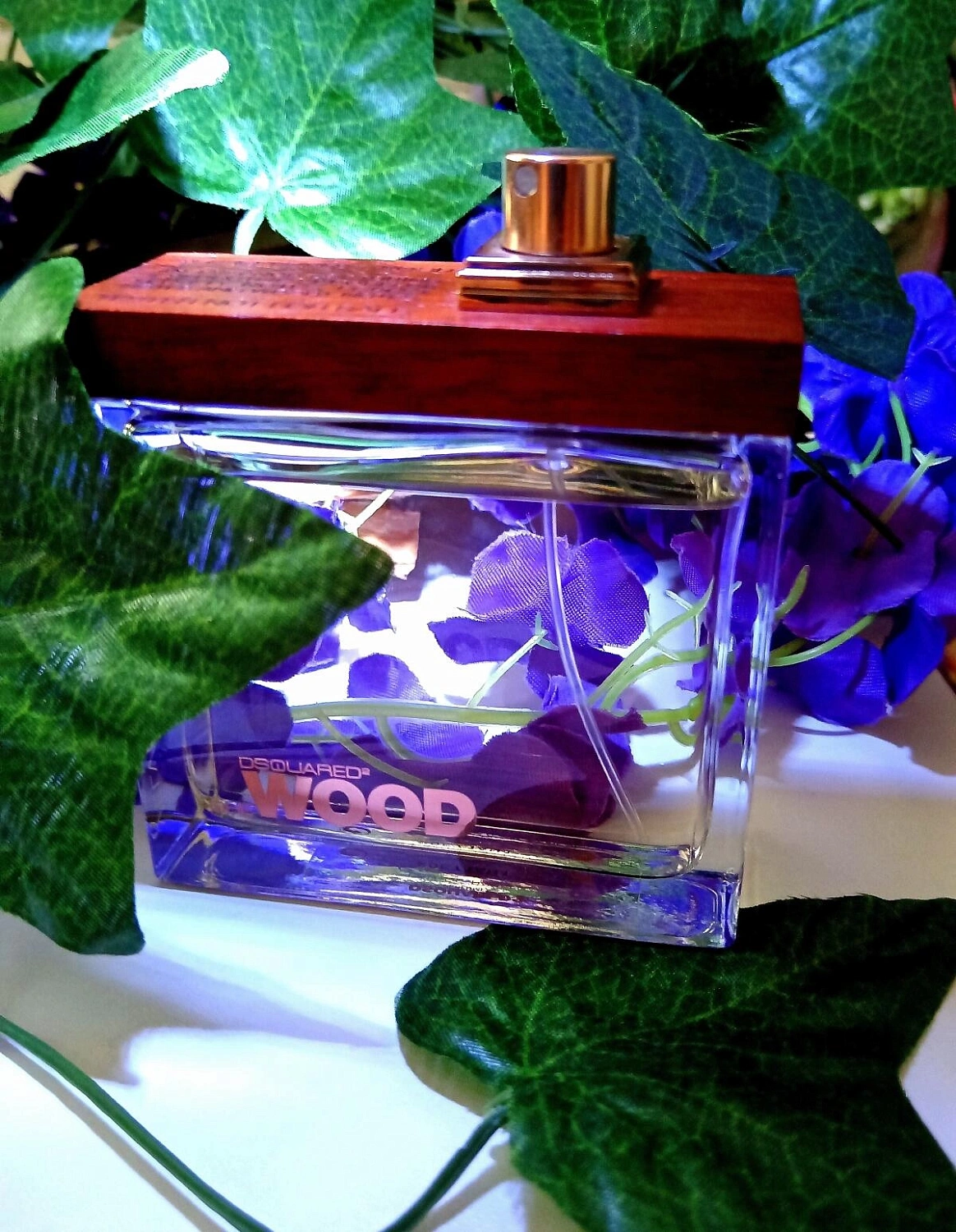 DSQUARED2 She Wood Velvet Forest Wood