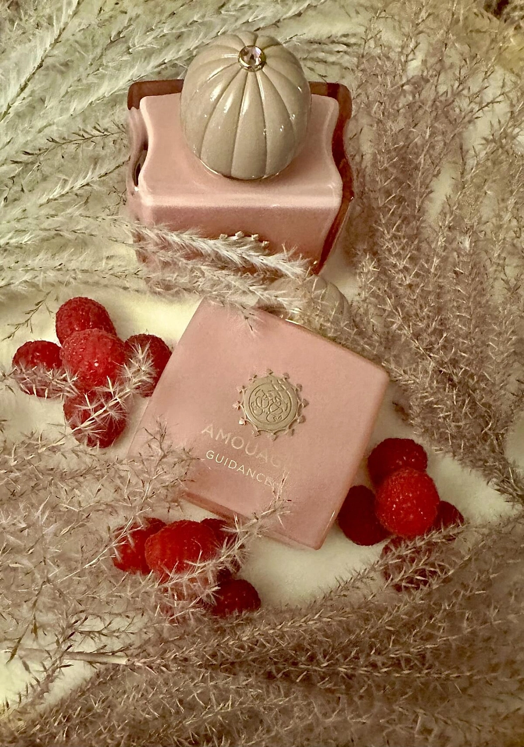 Amouage Guidance