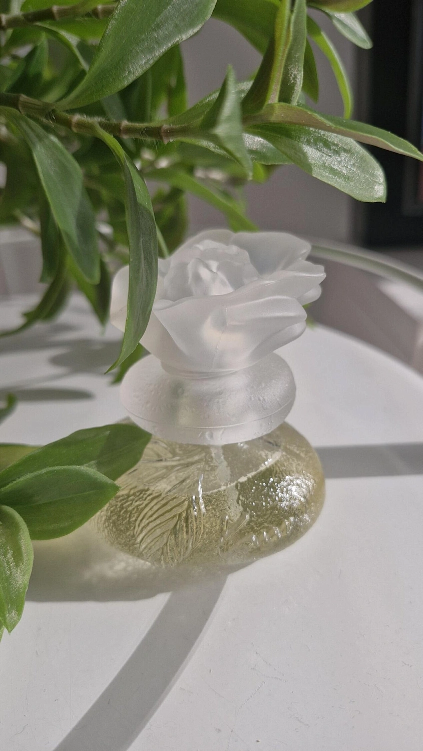 Kenzo Le Monde Est Beau