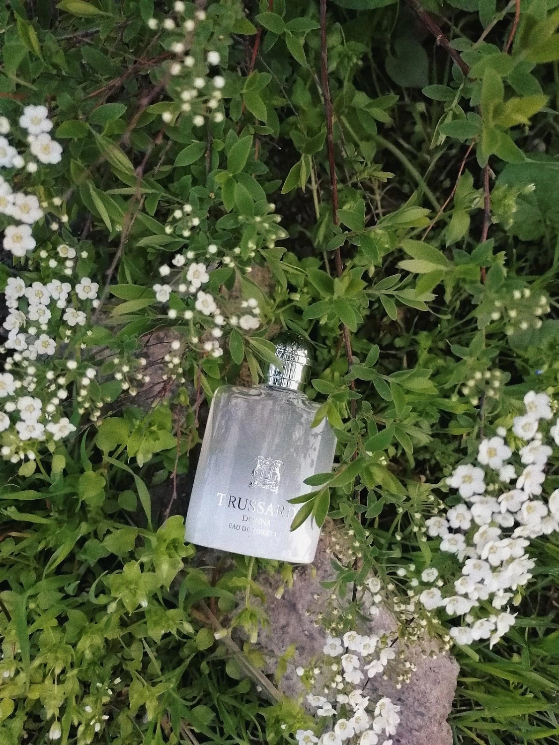 TRUSSARDI Donna Eau de Toilette 2016