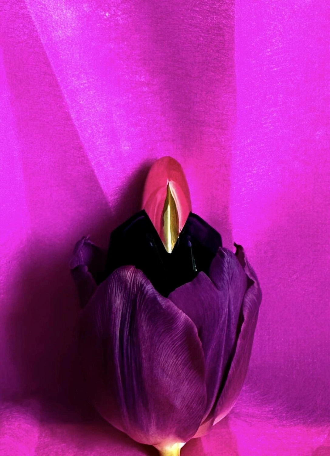 Mugler Alien Extraintense