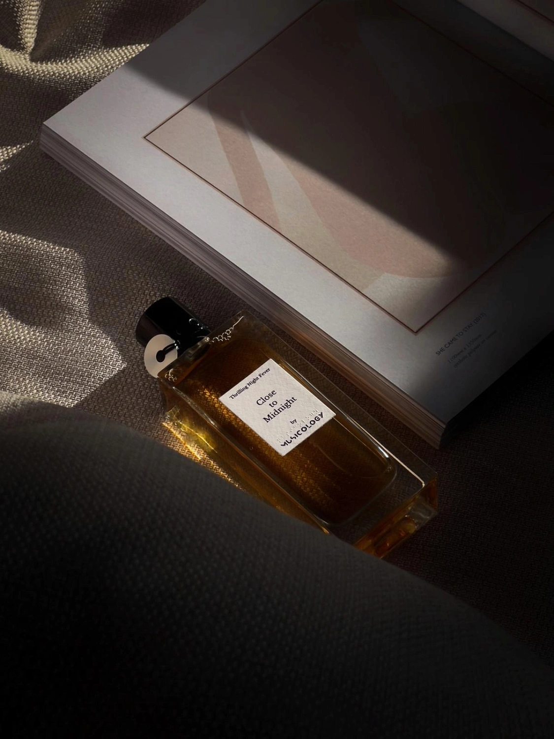 Musicology Close To Midnight