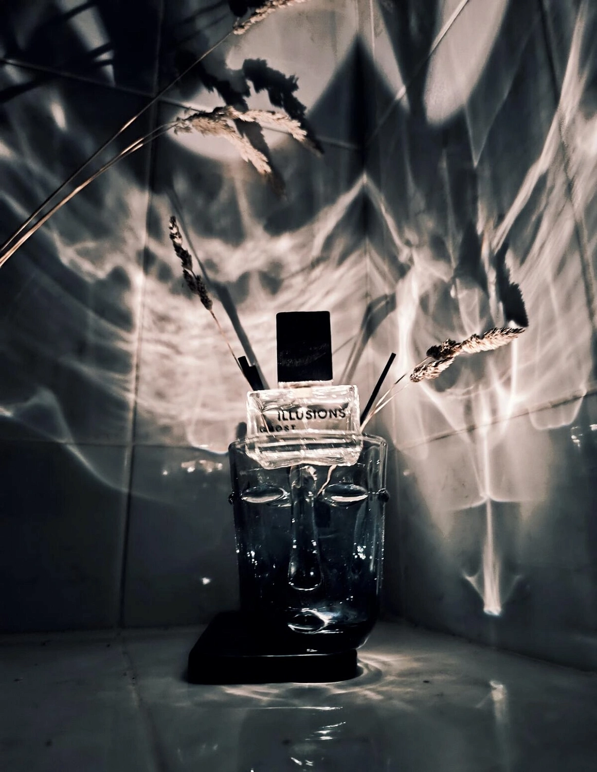 Brocard Illusions Ghost (Иллюзии Призрак)