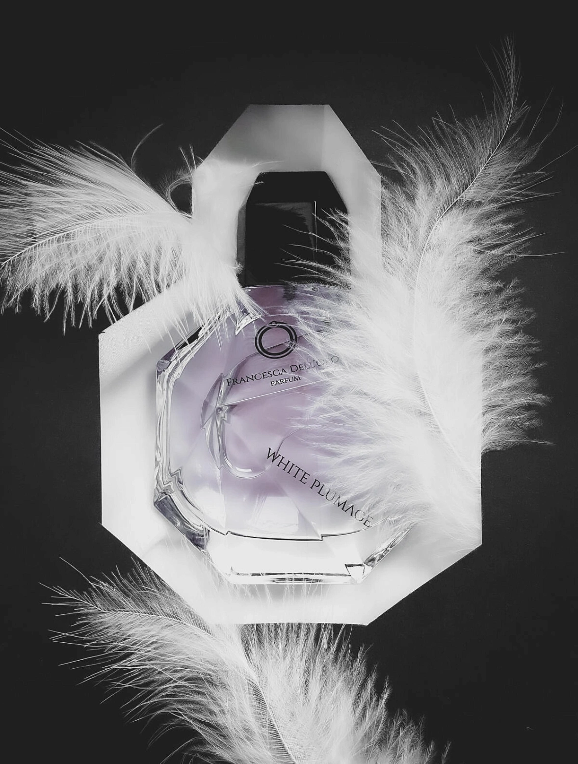 Francesca dell'Oro White Plumage Francesca dell'Oro White Plumage