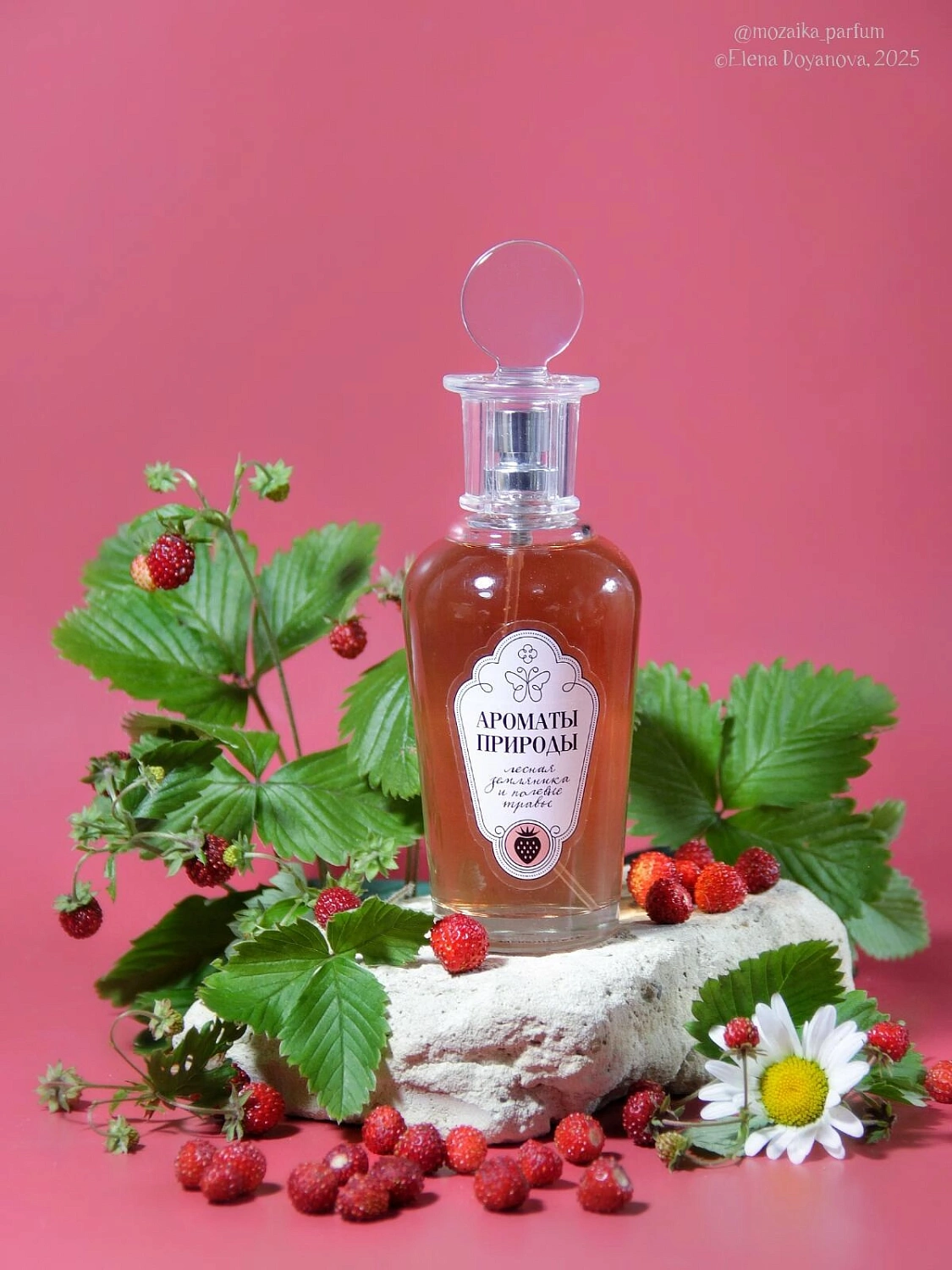 Brocard Лесная Земляника и Полевые Травы