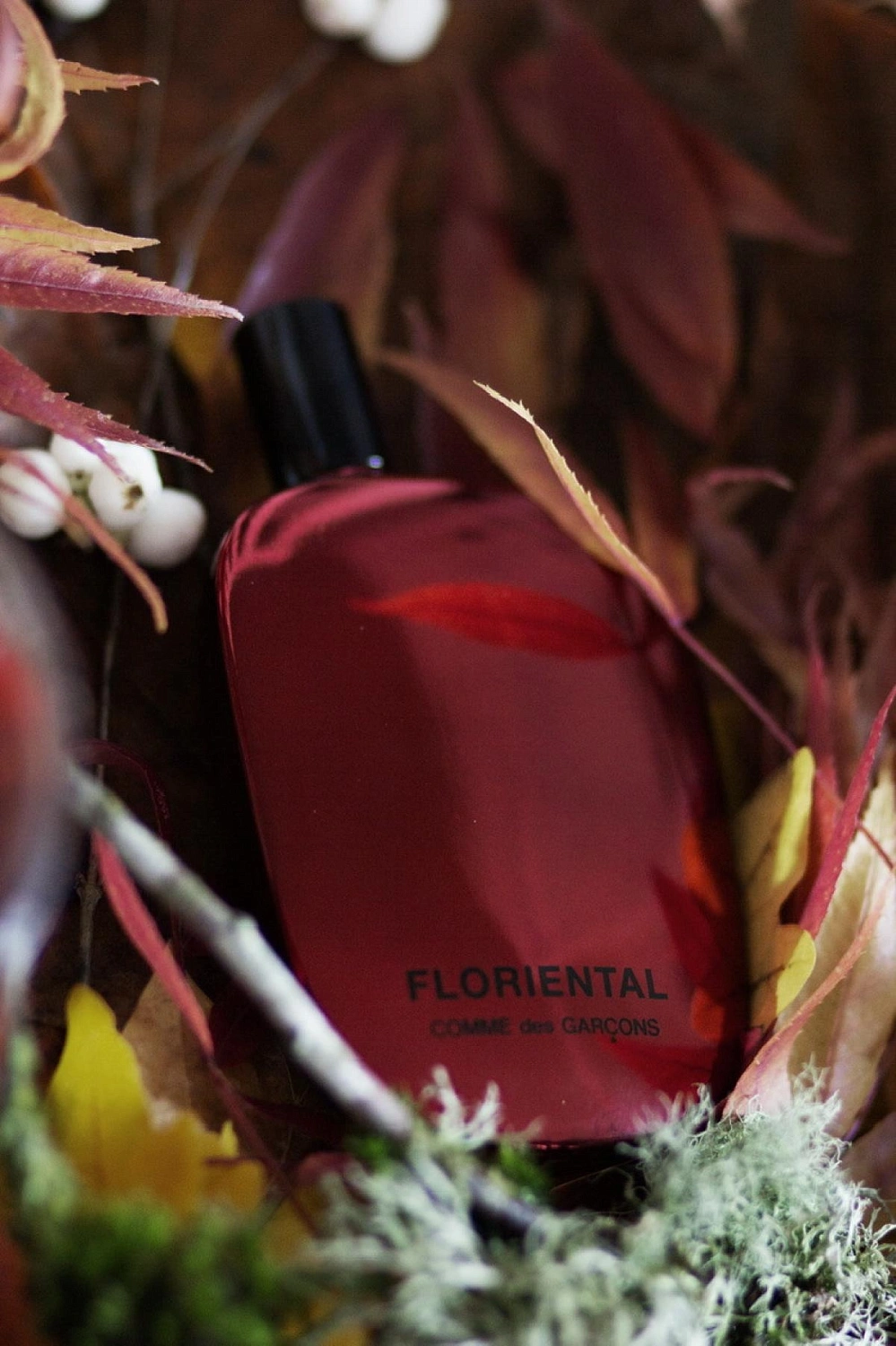 Comme des Garcons Floriental