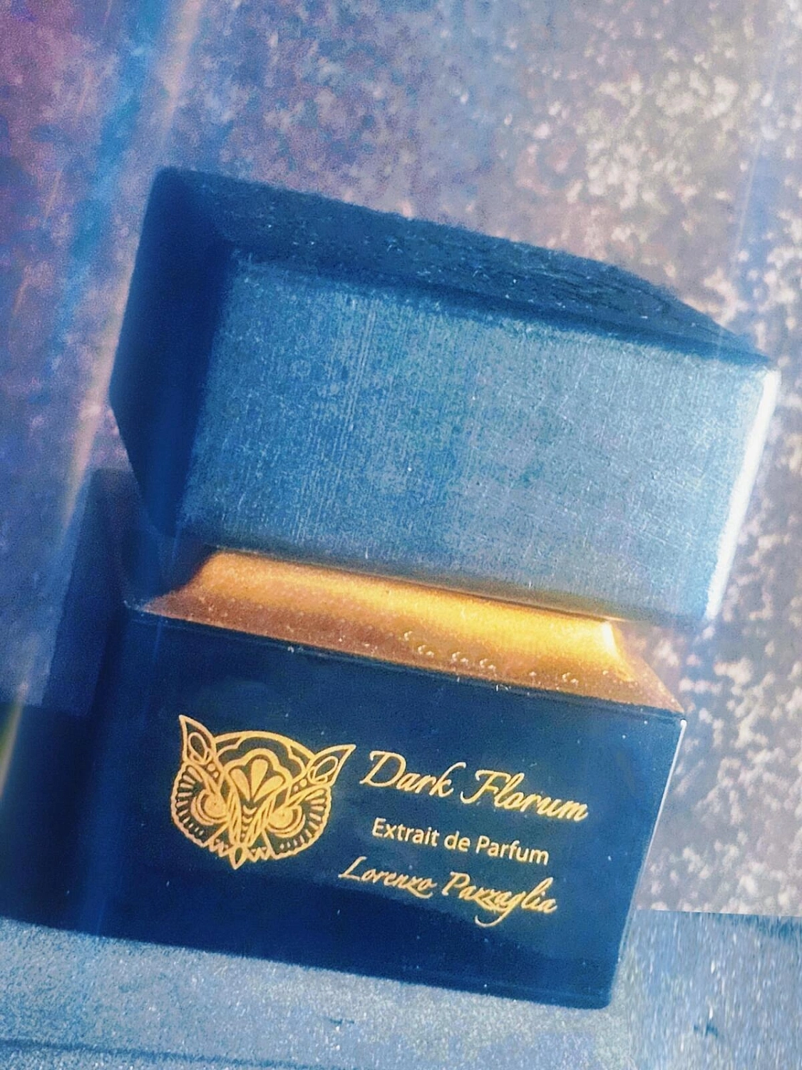 Lorenzo Pazzaglia Dark Florum