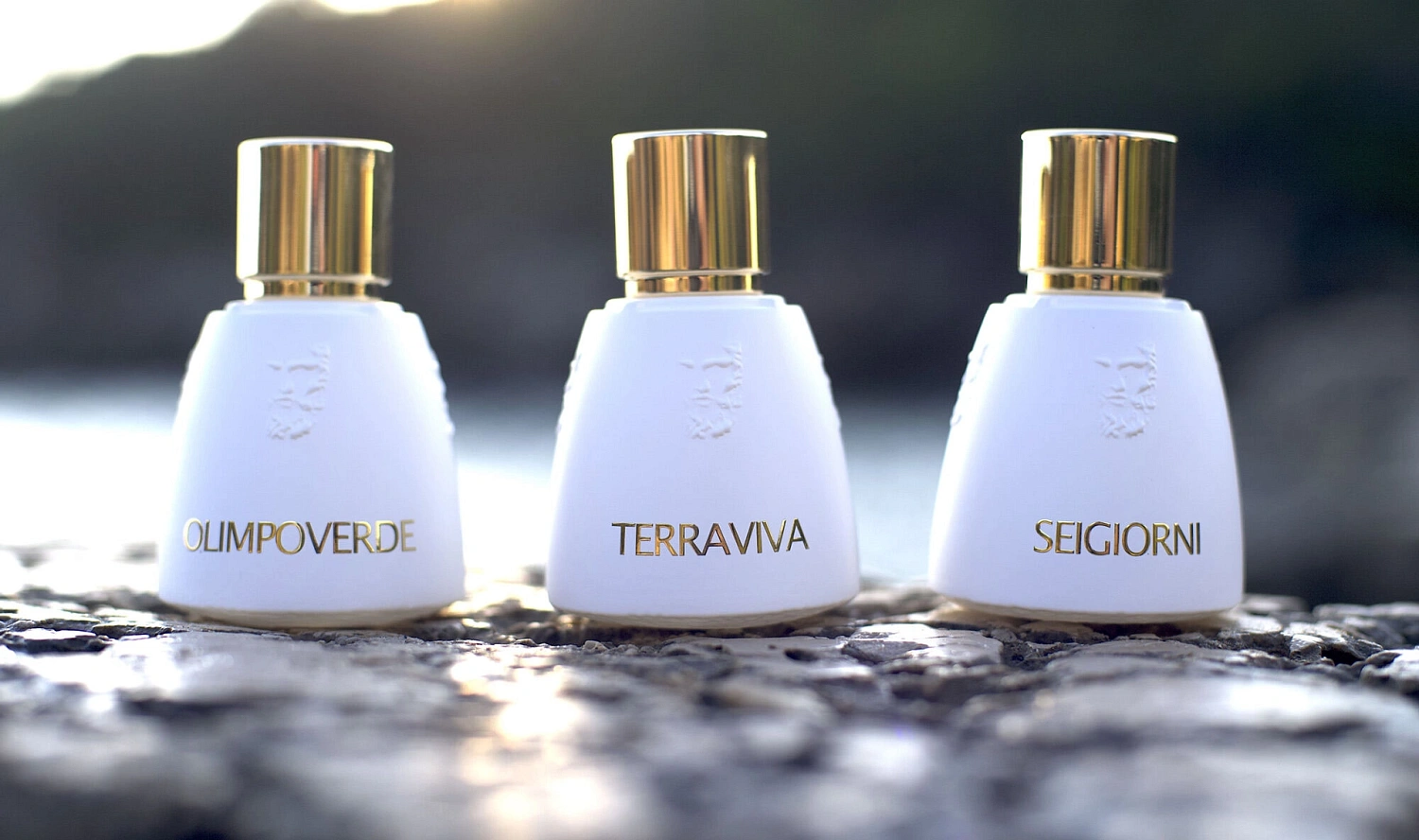Agatho Parfum Terraviva Agatho Parfum Terraviva