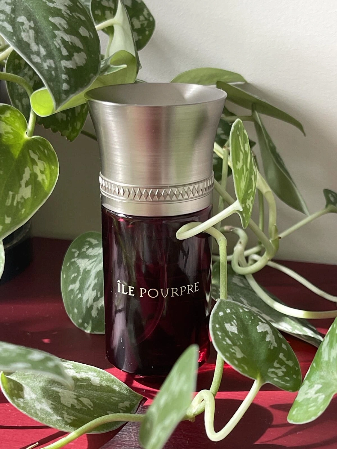 Liquides Imaginaires L’Ile Pourpre