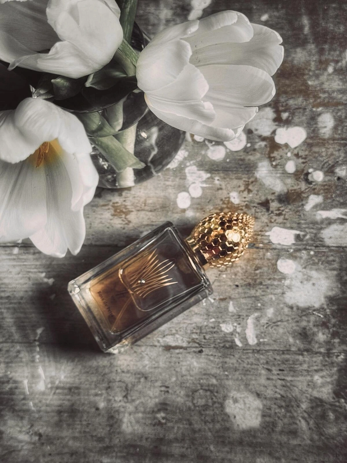 Stephane Humbert Lucas 777 Rose de Petra