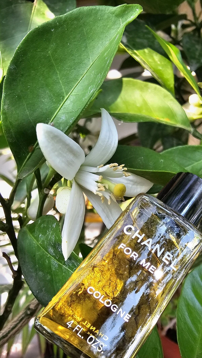 Chanel Pour Monsieur