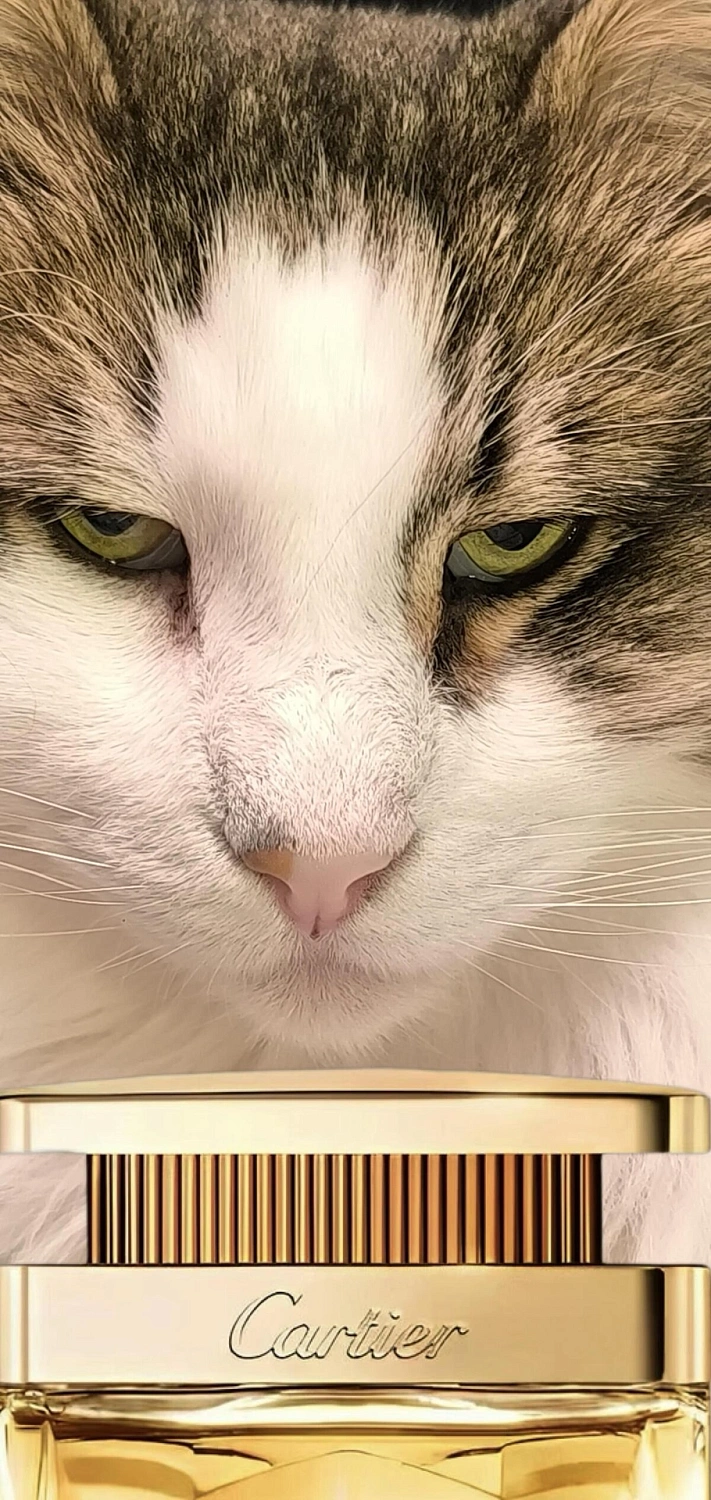 Cartier La Panthere Elixir