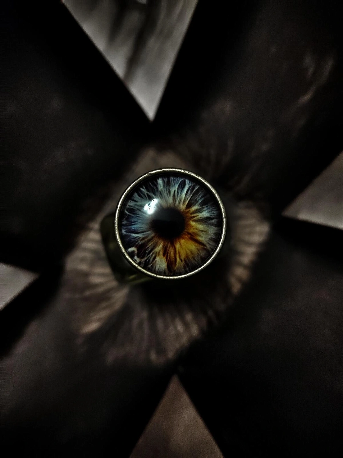 Orto Parisi Risvelium