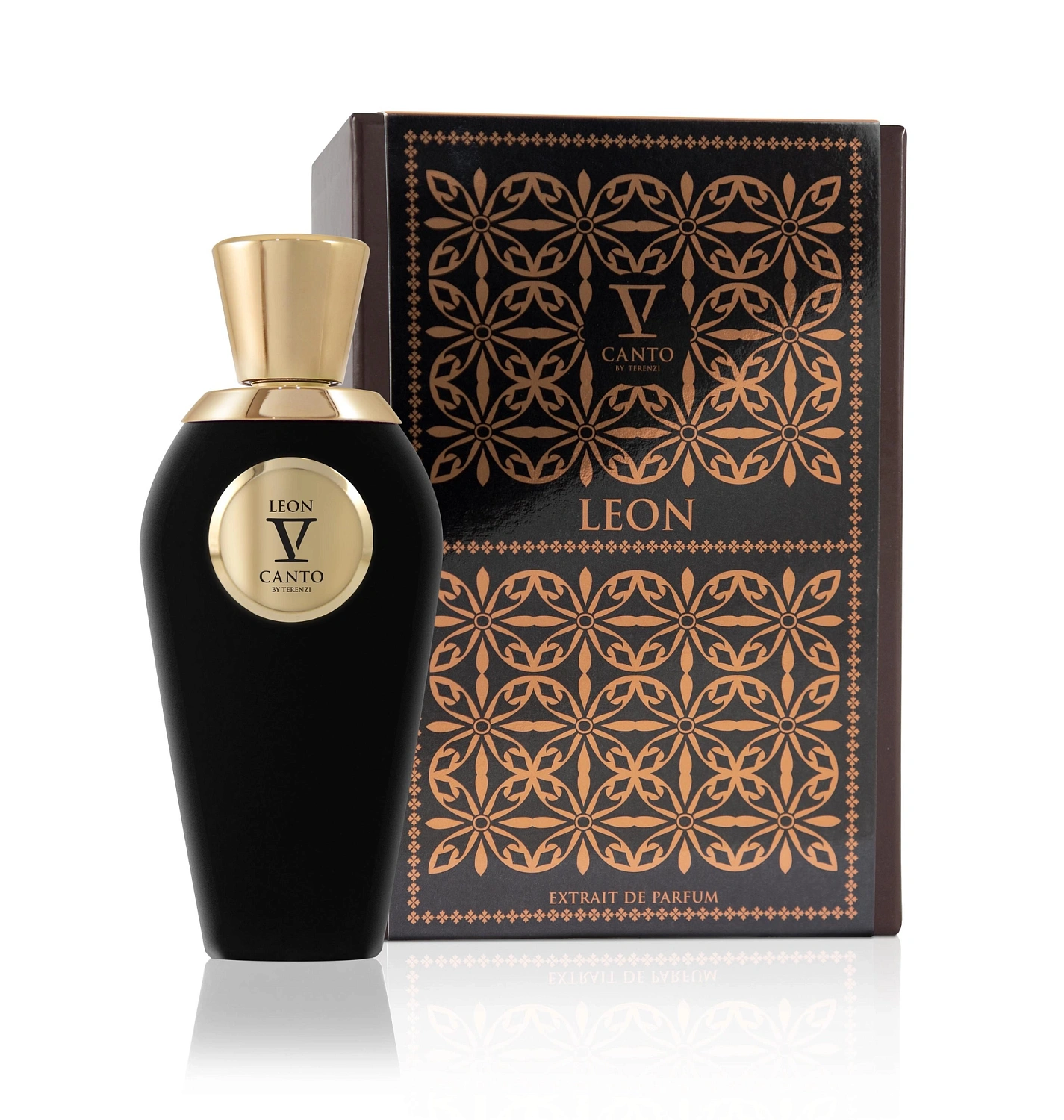 V Canto Leon V Canto Leon