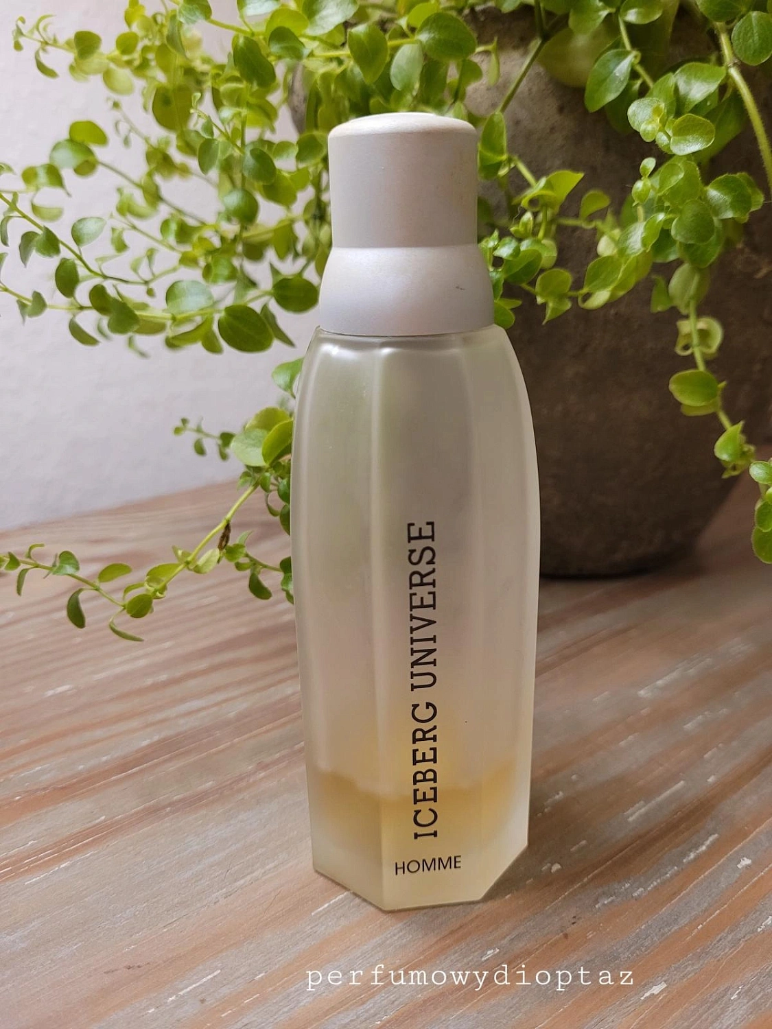 Iceberg Universe pour Homme