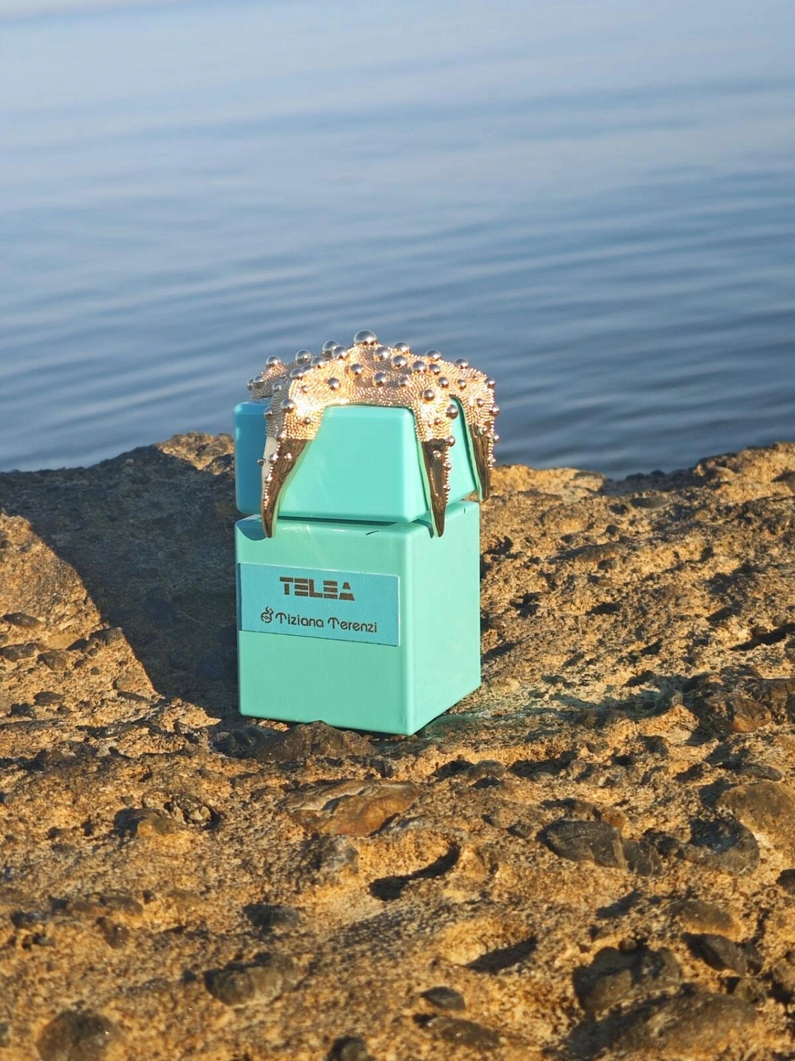 Tiziana Terenzi Telea