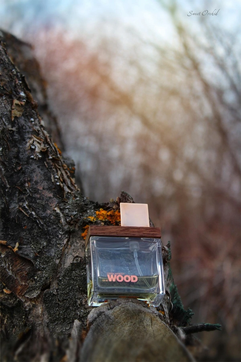 Dsquared2 She Wood