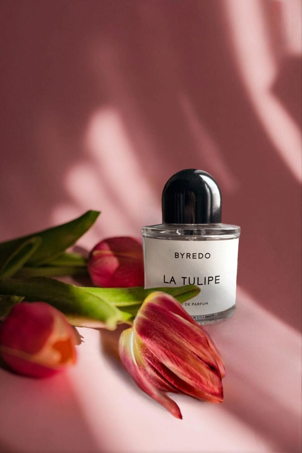 BYREDO La Tulipe