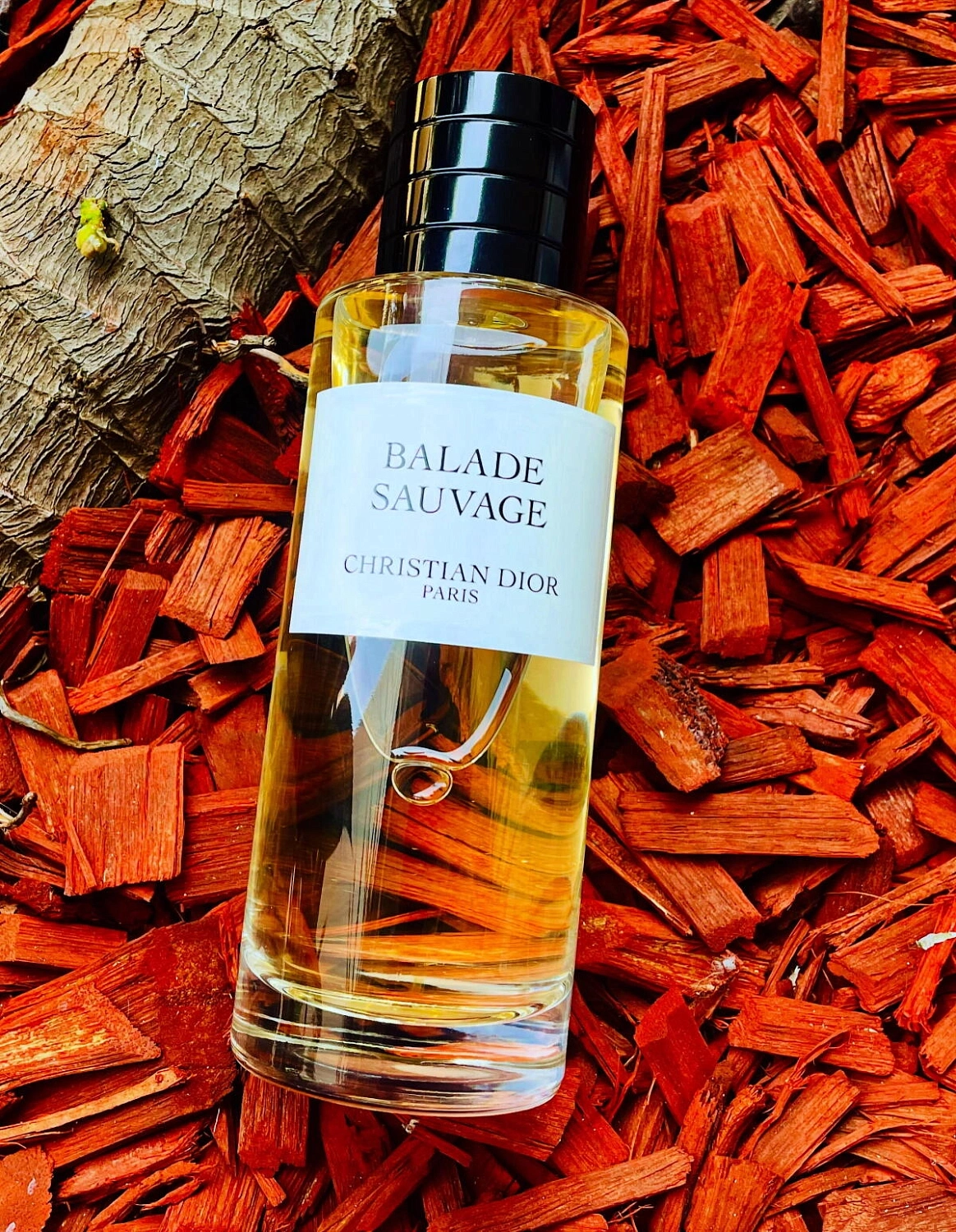 Christian Dior Balade Sauvage