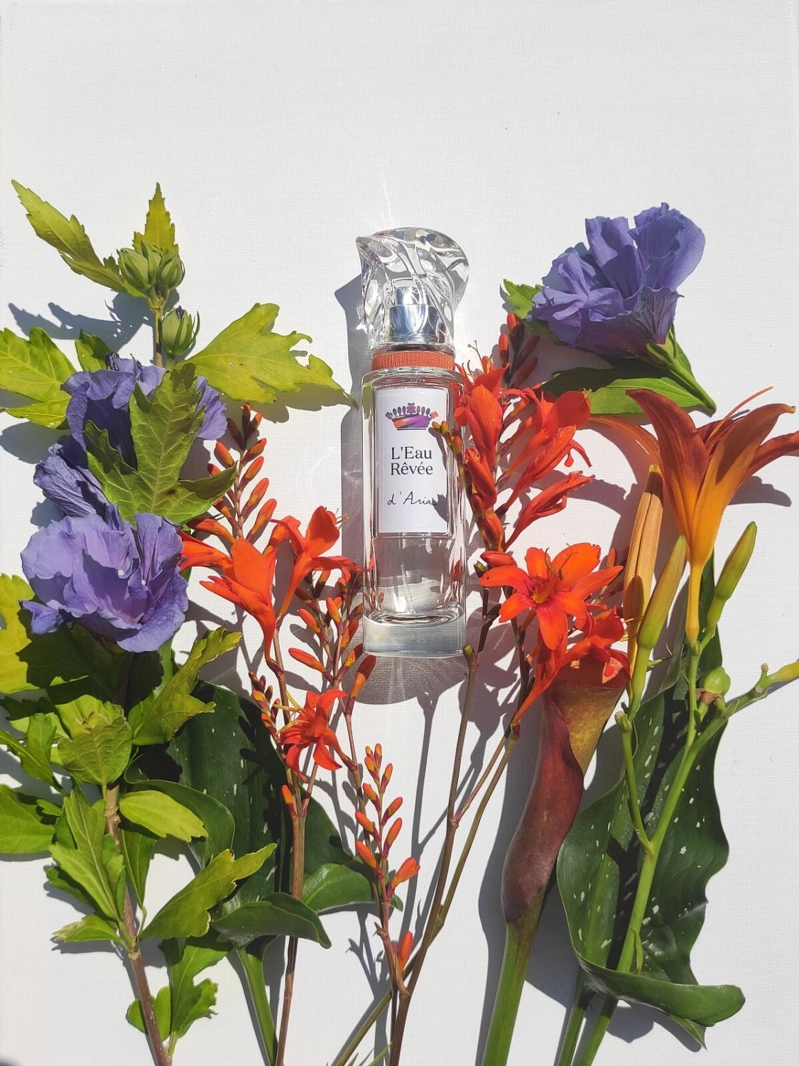 Sisley L'Eau Revee D'Aria